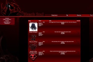 Bleach Soul