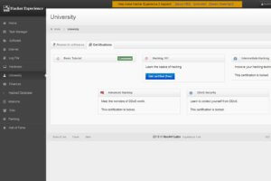 Hacker Experience